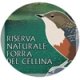 cd-riserva-Forra-cellina