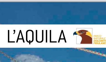 aquila8