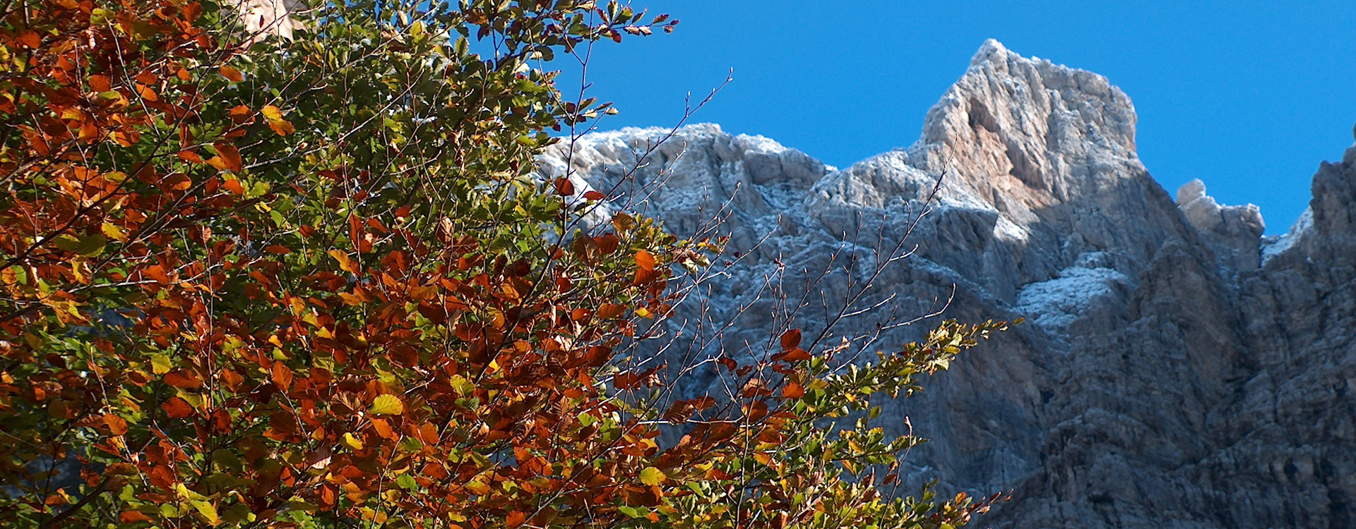 Parco Naturale Dolomiti Friulane