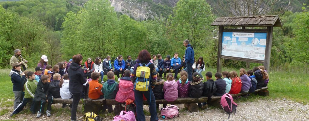 Parco Naturale Dolomiti Friulane