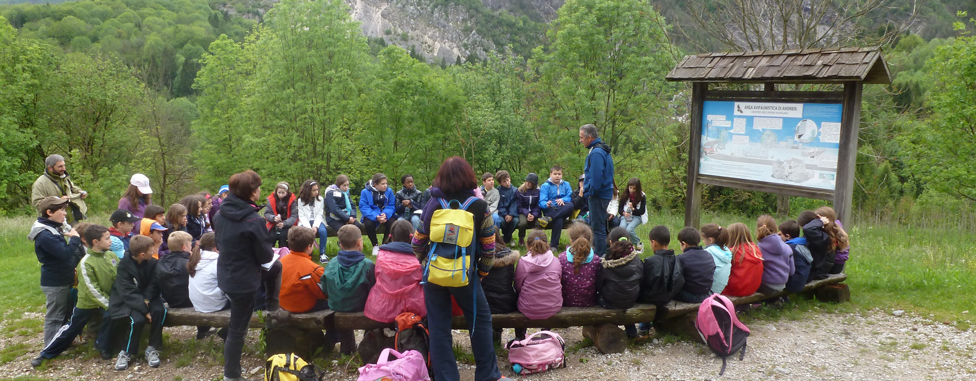 Parco Naturale Dolomiti Friulane