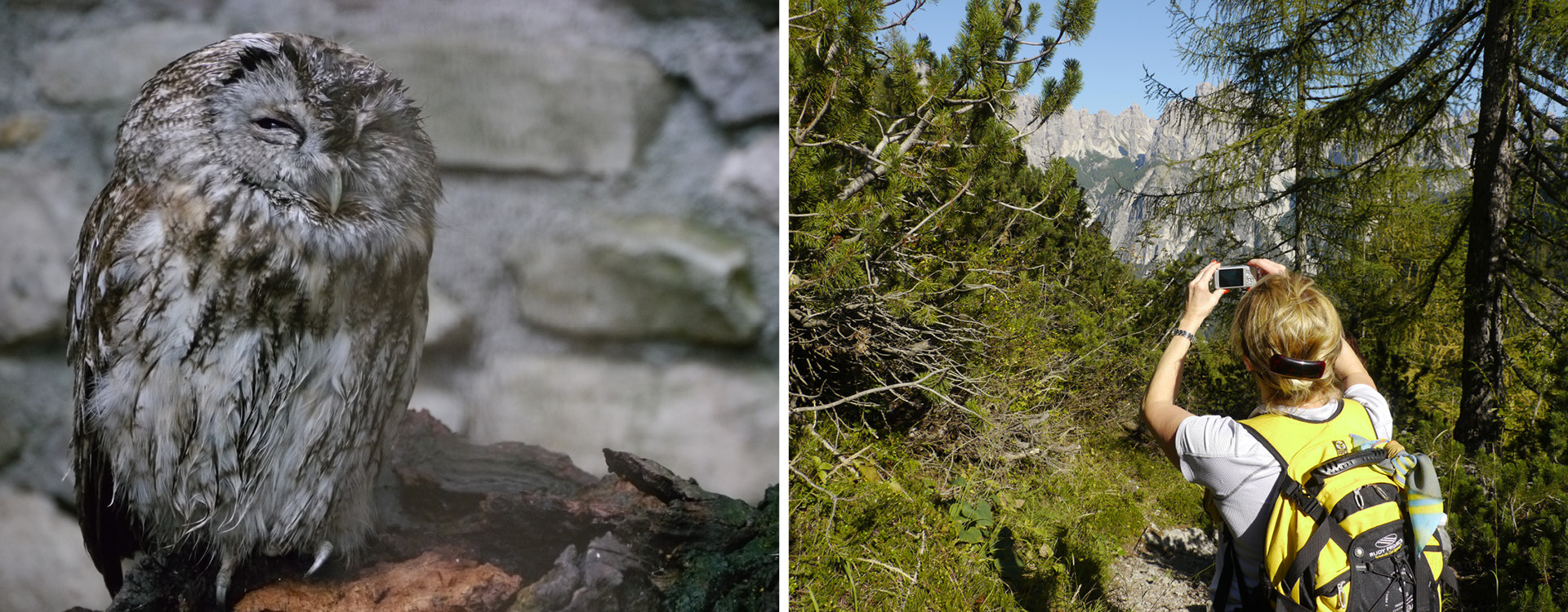 Parco Naturale Dolomiti Friulane
