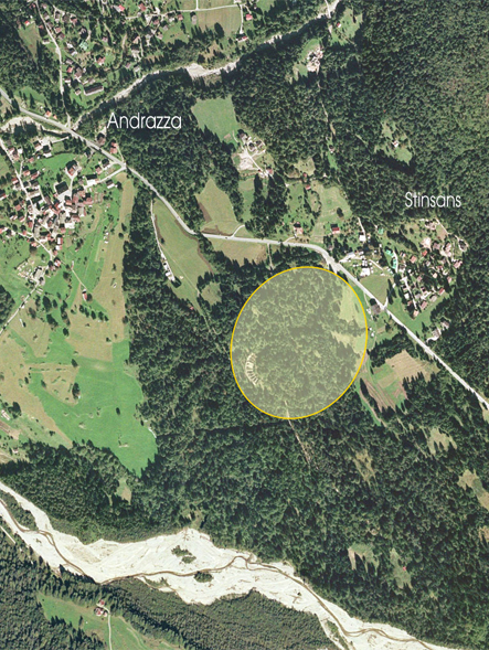 AREA FAUNISTICA PARULANA