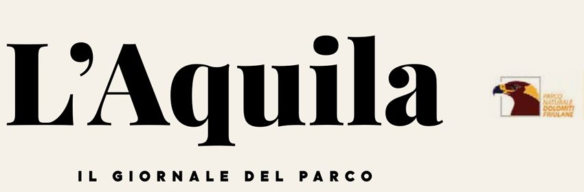 banner lungo aquila nuovo