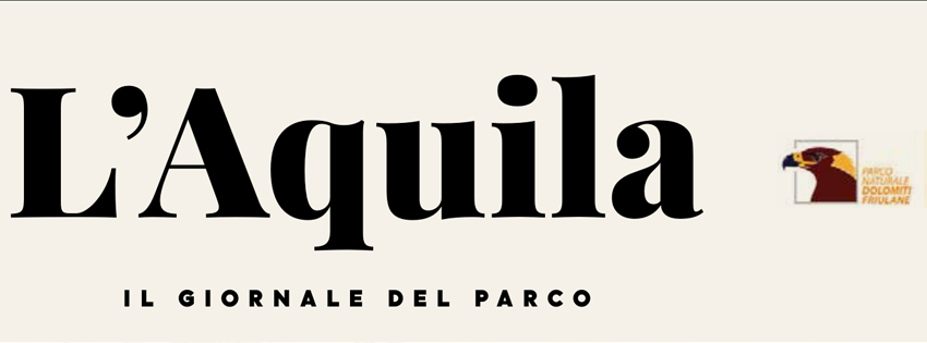 banner lungo aquila nuovo